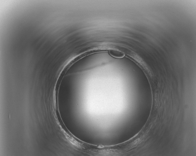 X0000054400988200508051709