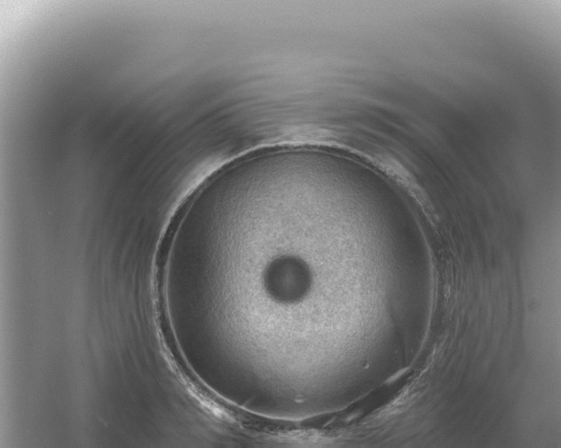 X0000054400990200508051709