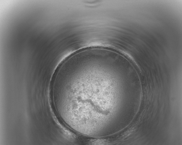 X0000054400991200508051709