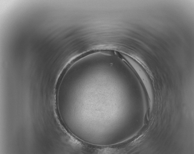 X0000054400992200508051709