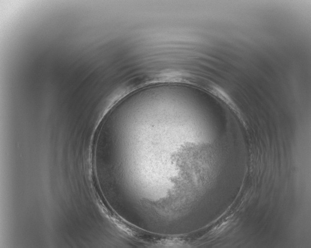 X0000054400994200508051709