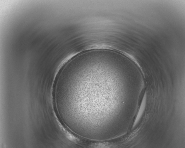 X0000054400995200508051709