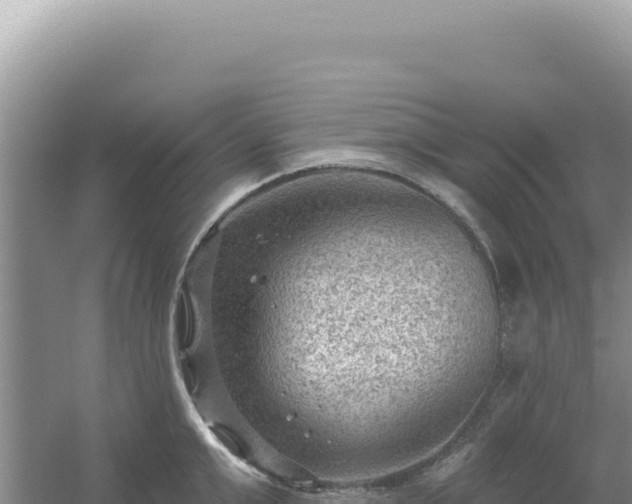 X0000054400999200508051709