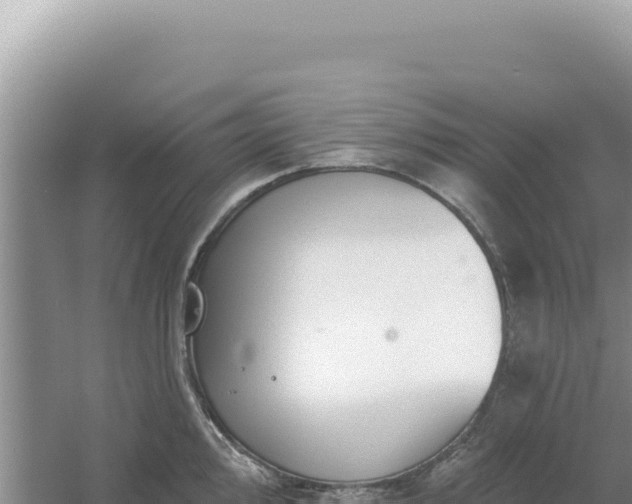 X0000054401000200508051709