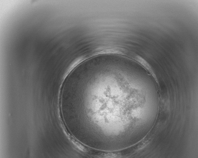 X0000054401002200508051709