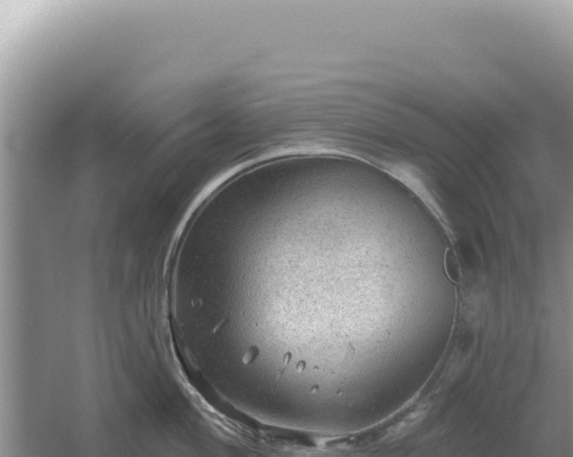 X0000054401004200508051708