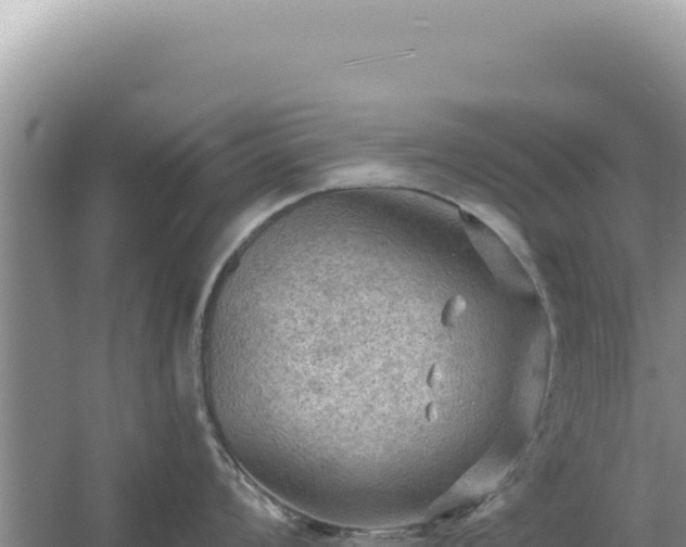 X0000054401008200508051708