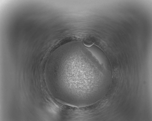 X0000054401009200508051708