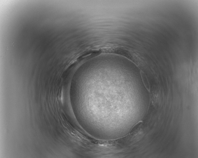 X0000054401010200508051708