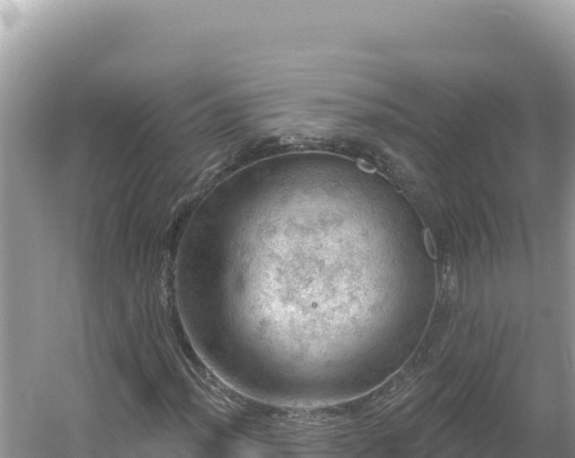 X0000054401012200508051708