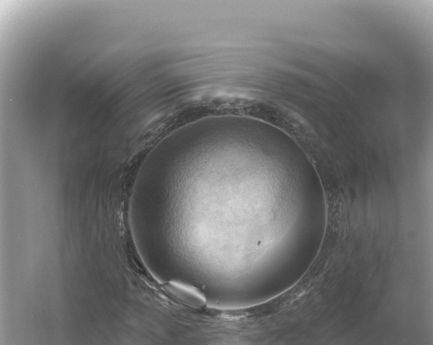 X0000054401013200508051708