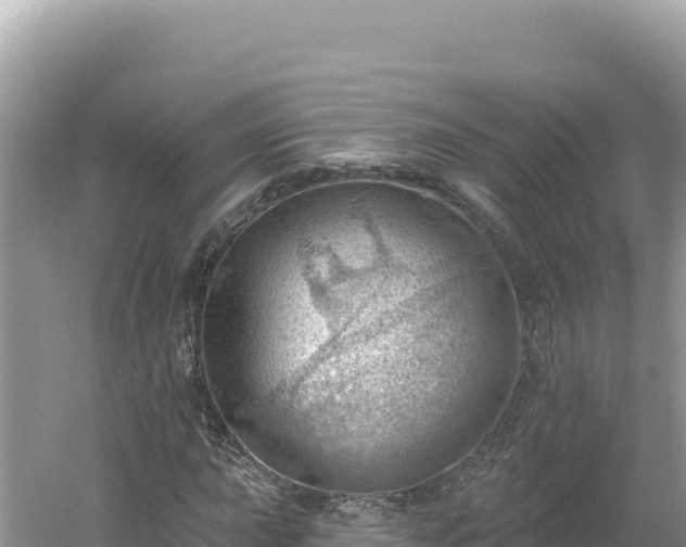 X0000054401015200508051708