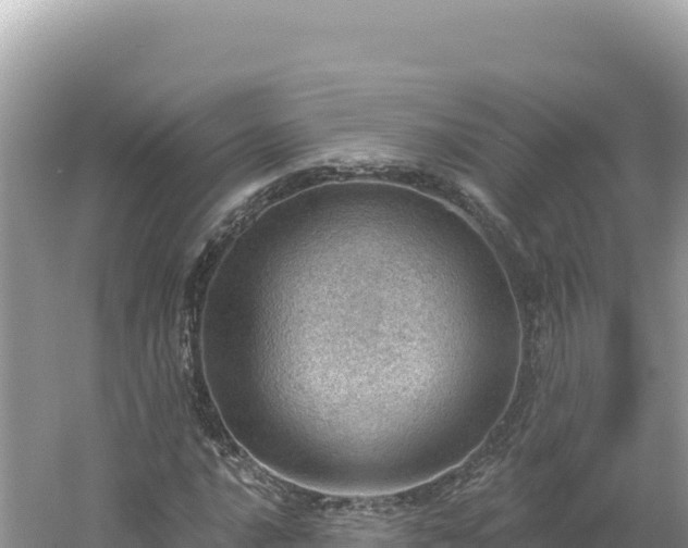 X0000054401016200508051708