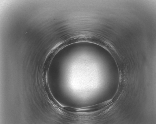 X0000054401018200508051708