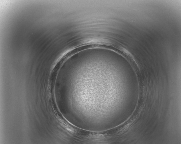 X0000054401019200508051708