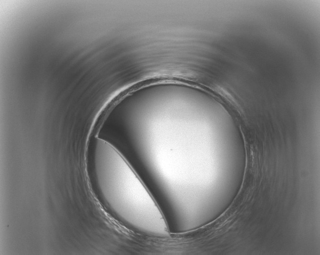 X0000054401020200508051708