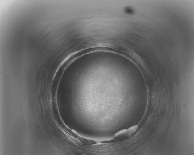 X0000054401024200508051708