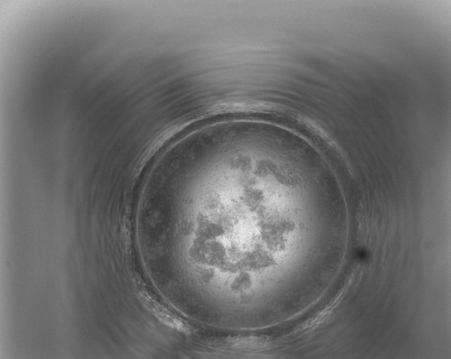 X0000054401025200508051708