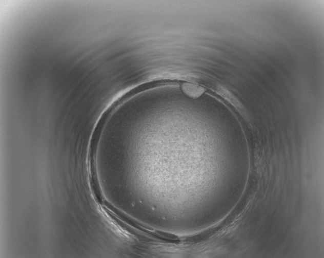 X0000054401028200508051708