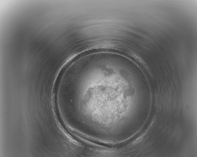 X0000054401029200508051708