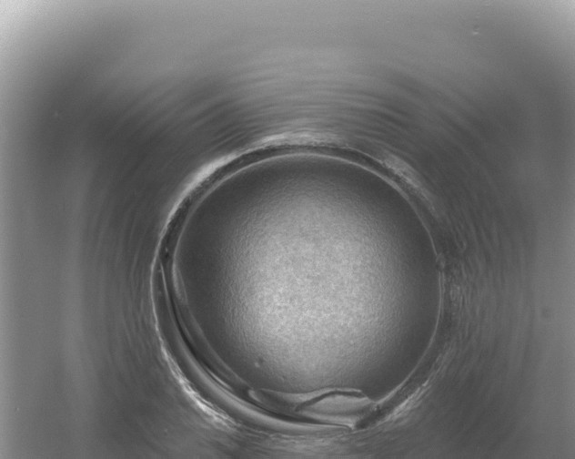 X0000054401030200508051708