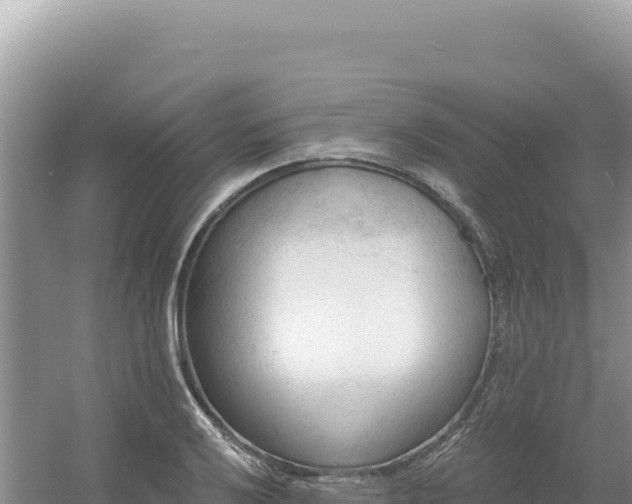 X0000054401032200508051708