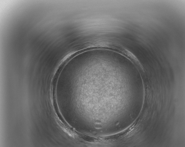 X0000054401035200508051708