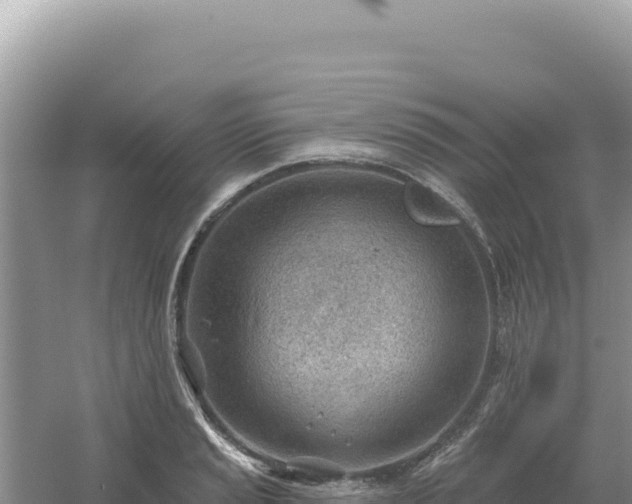 X0000054401037200508051708