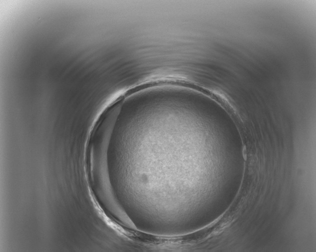 X0000054401038200508051708