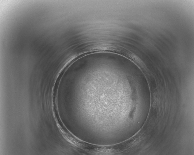 X0000054401039200508051708