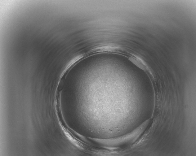 X0000054401042200508051708