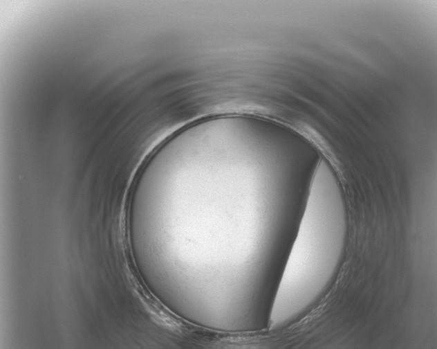 X0000054401044200508051708