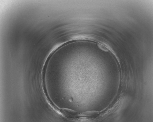 X0000054401045200508051708