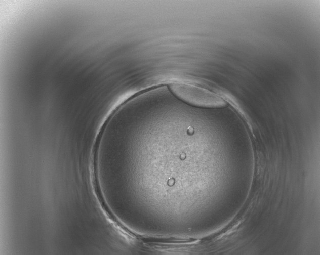 X0000054401048200508051708