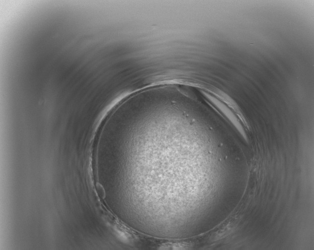 X0000054401051200508051708