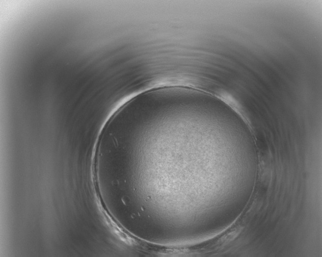 X0000054401052200508051708