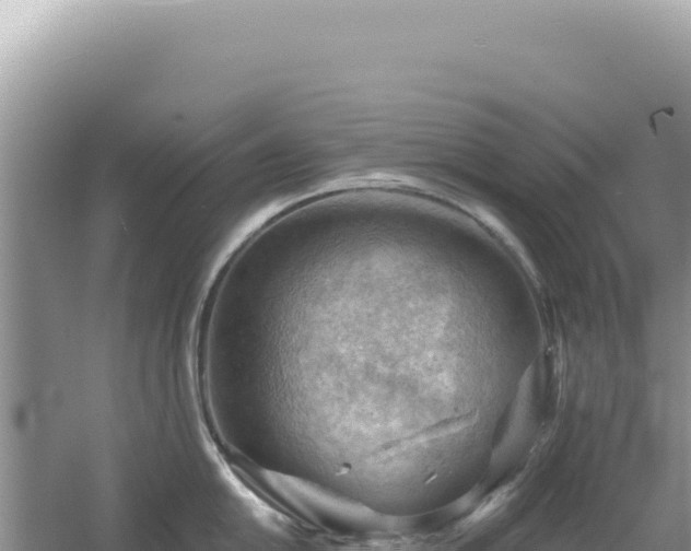 X0000054401054200508051708