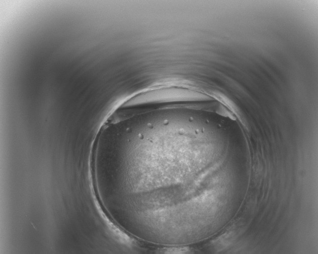 X0000054401055200508051708