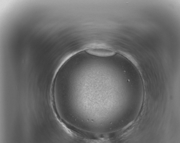 X0000054401056200508051708