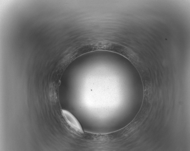 X0000054401058200508051708