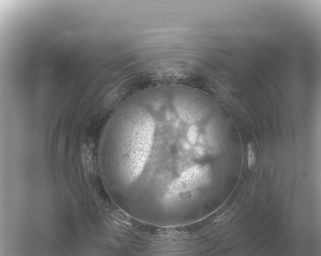 X0000054401059200508051708