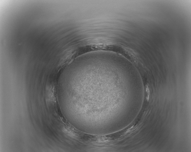 X0000054401060200508051708