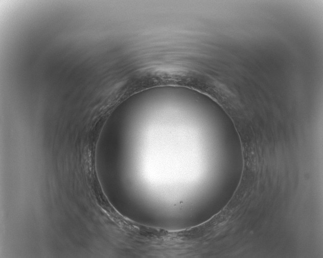 X0000054401061200508051708