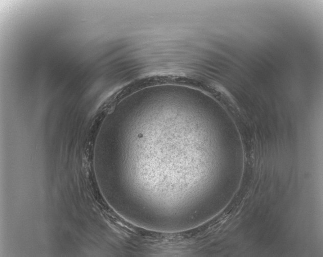 X0000054401064200508051707