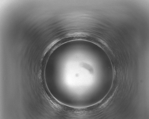 X0000054401066200508051707