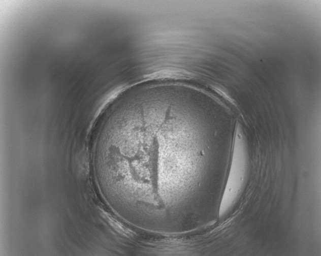 X0000054401067200508051707