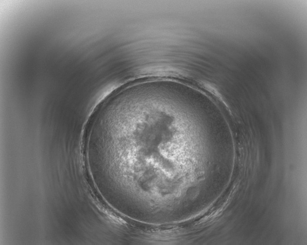 X0000054401071200508051707