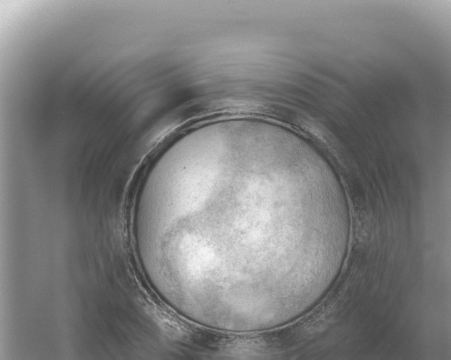 X0000054401074200508051707