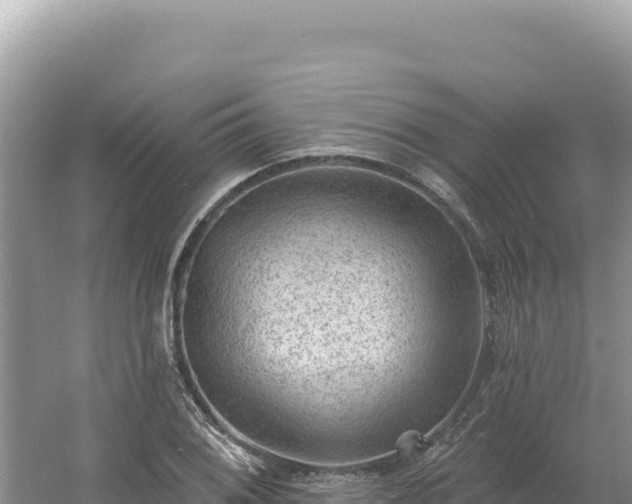 X0000054401076200508051707