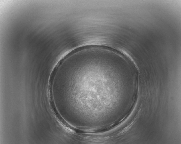 X0000054401077200508051707